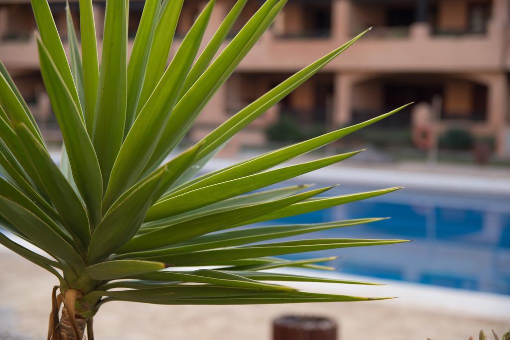 Apartamentos Turisticos Spiritmar Almerimar Exteriér fotografie